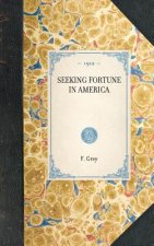 Seeking Fortune in America