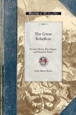 The Great Rebellion: Its Secret History, Rise, Progress, and Disastrous Failure