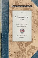 Constitutional View of the Late War V1: Its Causes, Character, Conduct and Results; Presented in a Series of Colloquies at Liberty Hall. Volume One