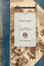 Down South: Or, an Englishman's Experience at the Seat of the American War. Volume One
