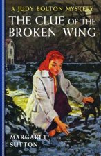 Clue of the Broken Wing #29