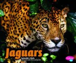 Jaguars