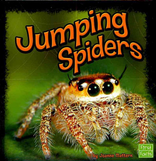 Jumping Spiders