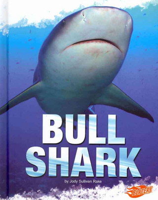 Bull Shark