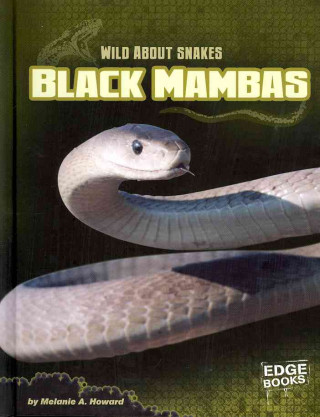 Black Mambas