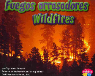 Fuegos Arrasadores/Wildfires