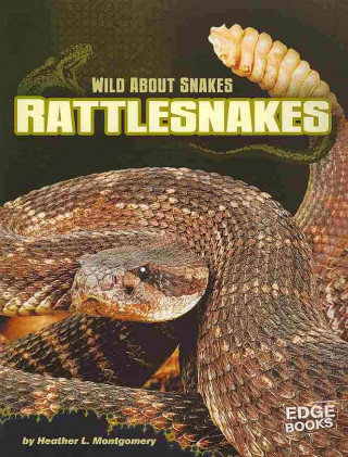 Rattlesnakes