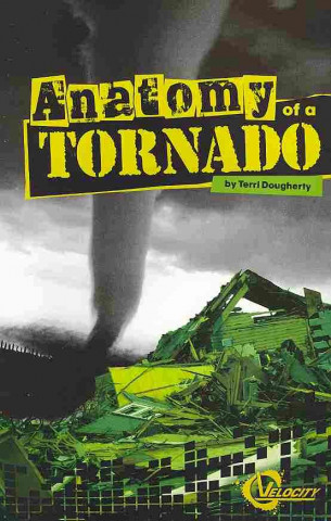 Anatomy of a Tornado