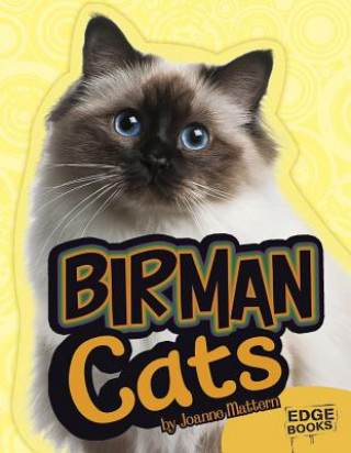 Birman Cats