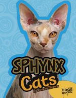 Sphynx Cats