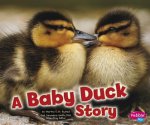 A Baby Duck Story