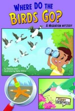 Where Do the Birds Go?: A Migration Mystery