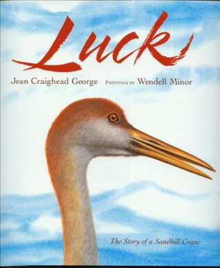 Luck with CD: The Story of a Sandhill Crane