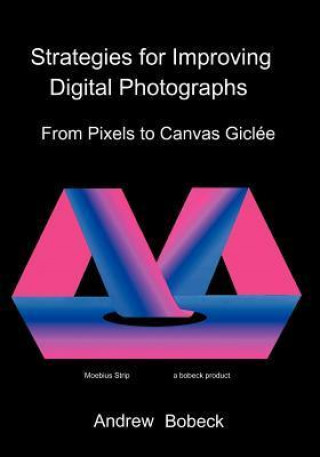 Strategies for Improving Digital Photographs: From Pixels to Canvas Giclee
