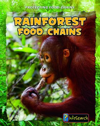 Rain Forest Food Chains