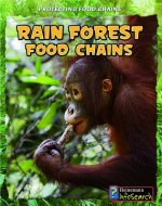 Rain Forest Food Chains