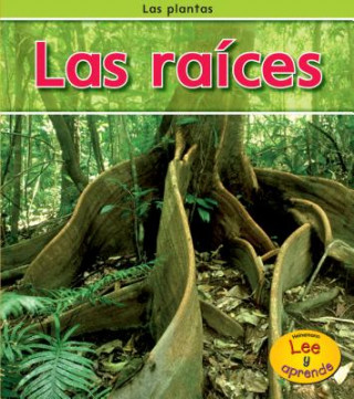 Las Raices = Roots