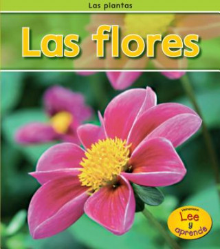 Las Flores = Flowers