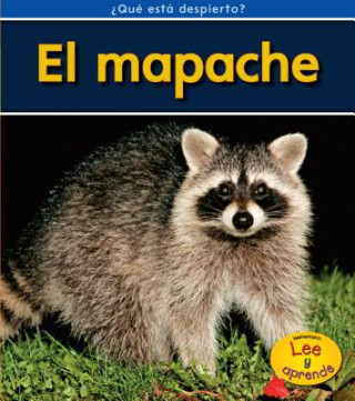 El Mapache = Raccoons