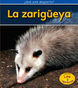 La Zarigueya = Opossums