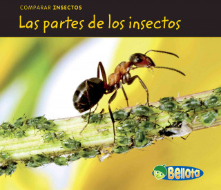 Las Partes de los Insectos = Bug Parts
