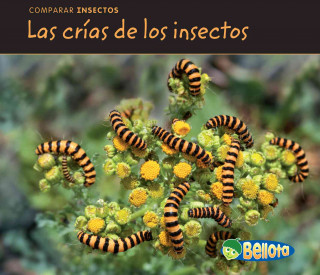 Las Crias de los Insectos = Bug Babies