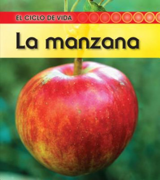 La Manzana = Apple