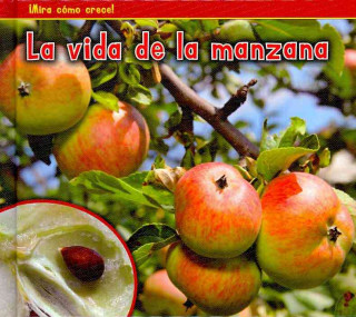La Vida de la Manzana = The Life of an Apple