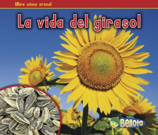 La Vida del Girasol = The Life of a Sunflower