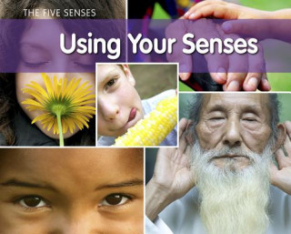 Using Your Senses