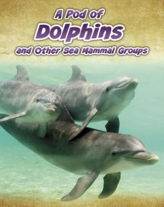 A Pod of Dolphins: And Other Sea Mammal Groups