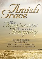 Amish Grace: How Forgiveness Transcended Tragedy