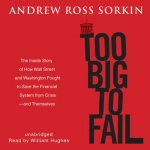 Too Big to Fail: The Inside Story of How Wall Street and Washington Fought to Save the Financial System from Crisis -- And Themselves
