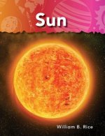 Sun: Neighbors in Space