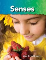 Senses: The Human Body