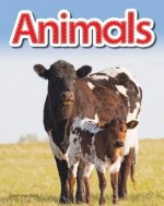 Animals Lap Book (Animals)