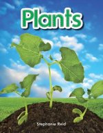 Plants (Plants)