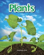 Plants Lap Book (Plants)