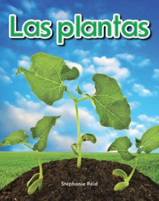 Las Plantas = Plants