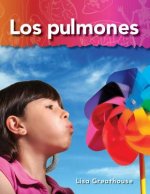 Los Pulmones = Lungs