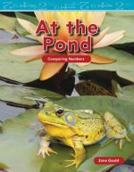 At the Pond (Level K)