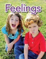 Feelings Lap Book (Feelings)
