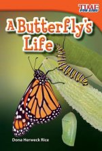 Butterfly's Life