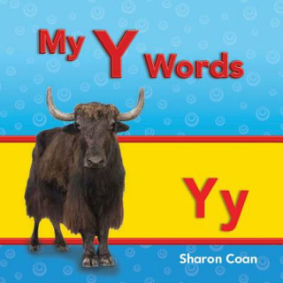 My y Words (More Consonants, Blends, and Digraphs)