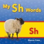 My Sh Words (More Consonants, Blends, and Digraphs)