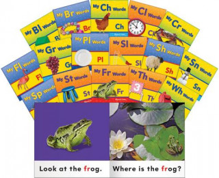 My Blends and Digraphs Set, Grades PreK-1