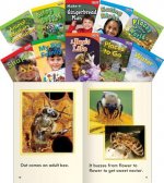 Time for Kids Nonfiction Readers Set 3, Grade 1