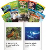 Animals and Insects, Grades 1-2