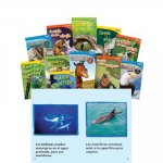 Animals and Insects, Grades 1-2