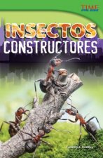Insectos Constructores = Bug Builders